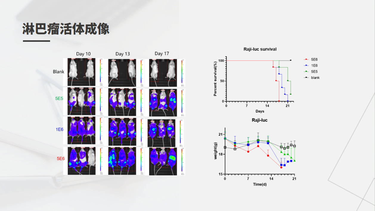 333���� - ��̬�ȵ������Ż�
