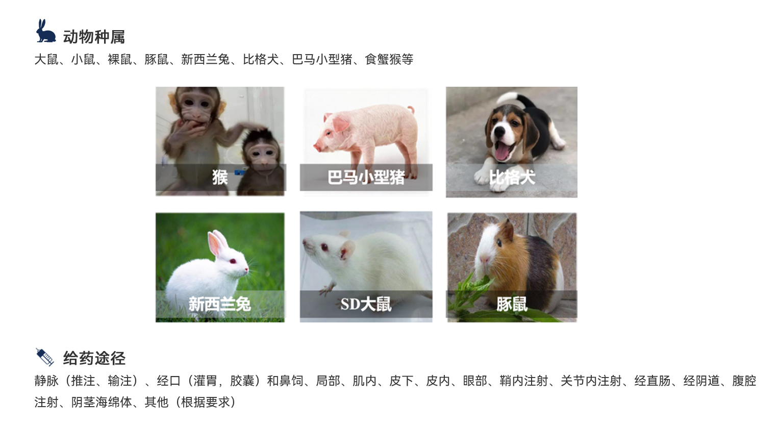 333ÌåÓý - ÓÐ̬¶ÈµÄÌåÓýÃÅ»§