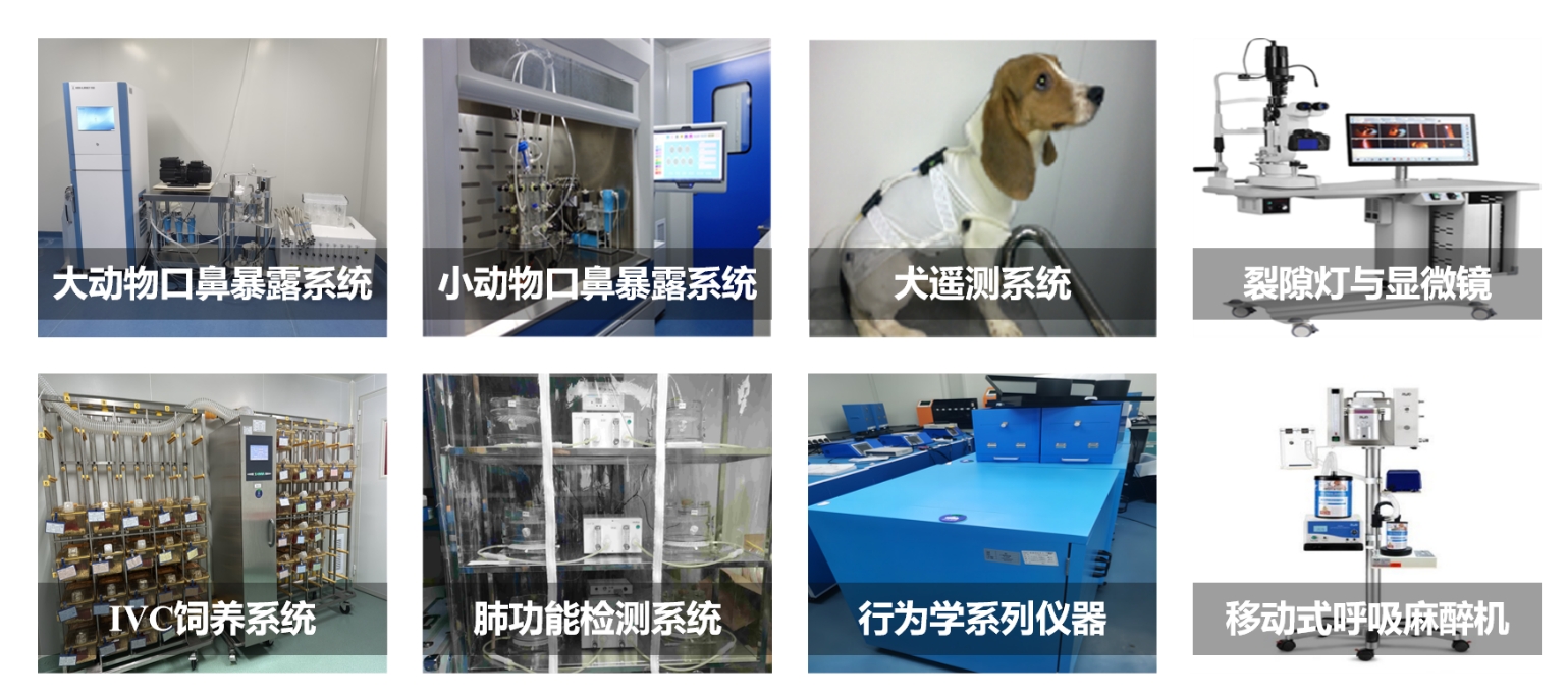 333ÌåÓý - ÓÐ̬¶ÈµÄÌåÓýÃÅ»§