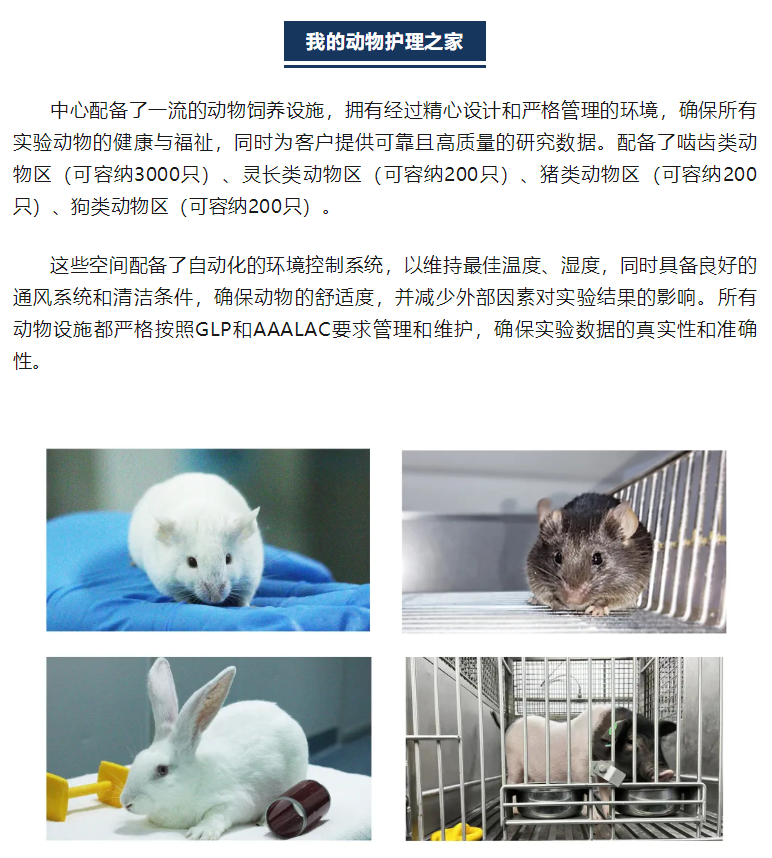 333���� - ��̬�ȵ������Ż�