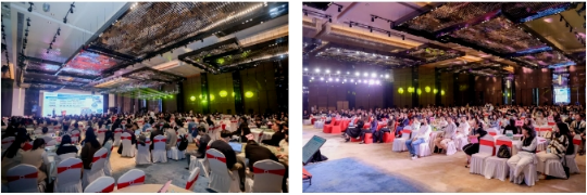 333���� - ��̬�ȵ������Ż�