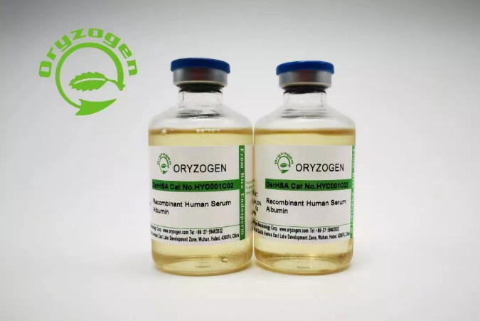 333ÌåÓý - ÓÐ̬¶ÈµÄÌåÓýÃÅ»§